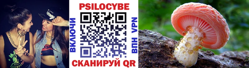 OMG как зайти  Ижевск  Псилоцибиновые грибы Magic Shrooms 